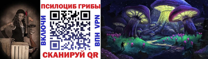 Купить  Трёхгорный  Галлюциногенные грибы GOLDEN TEACHER 