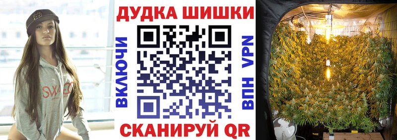Купить закладки  Трёхгорный  Бошки Шишки план 
